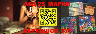 шишки Лесосибирск