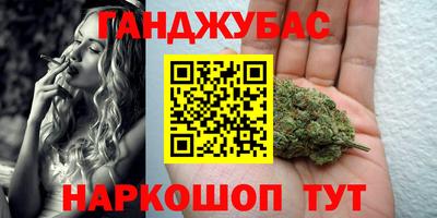 шишки Лесосибирск