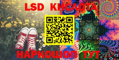 шишки Лесосибирск